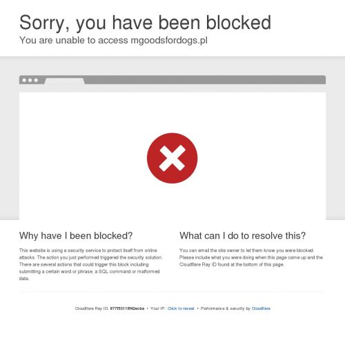 Obroża behawioralna dławik dla psa